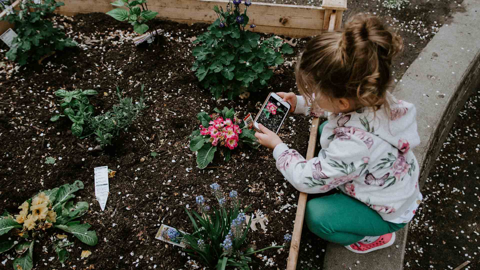 3 Interesting Benefits of Gardening With Your Children