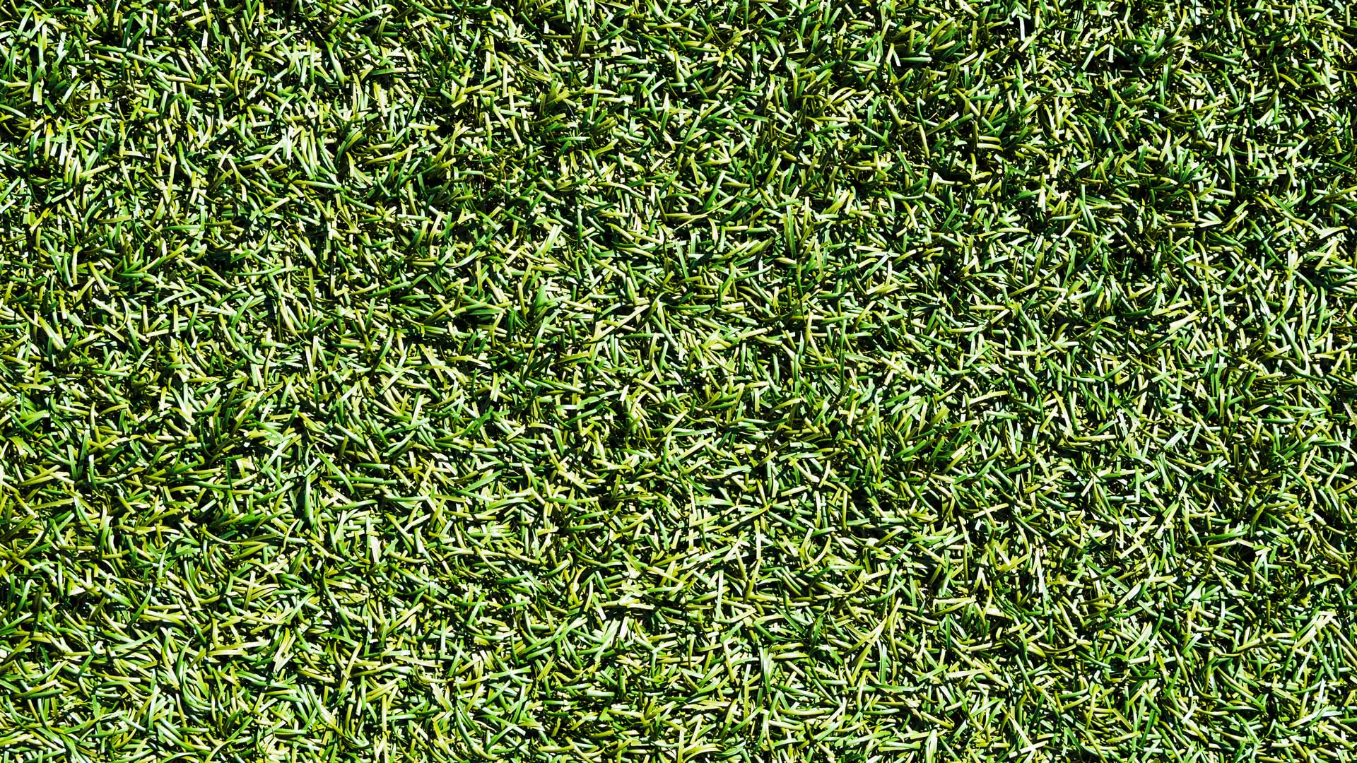 Synthetic grass