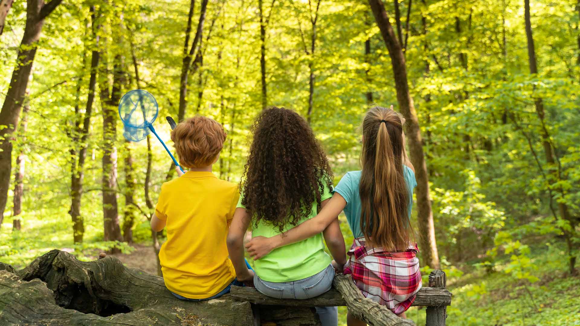 The Nature of Play