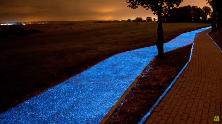 glow in the dark path glow in the dark path
