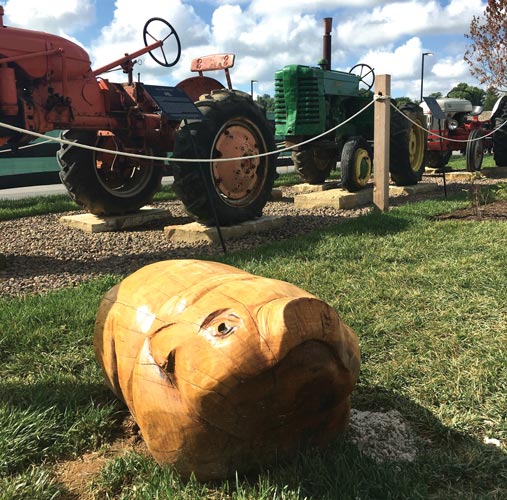 Pig carved out of wood and tractors Pig carved out of wood and tractors