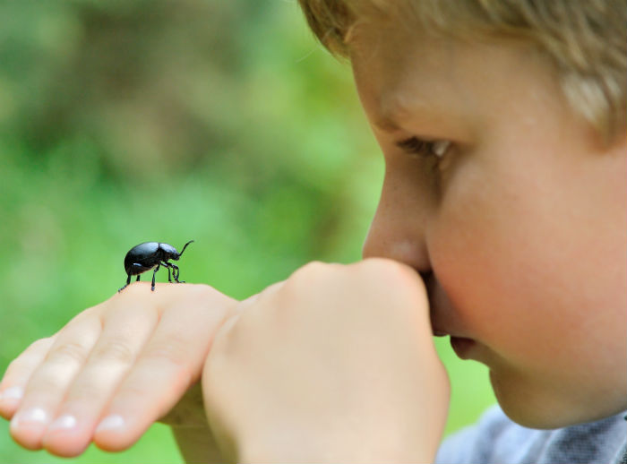 Child with a bug