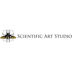 Scientific Art Studio