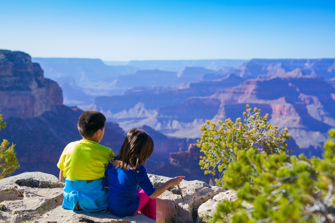 Learning About Ecological Issues (The Fun Way)