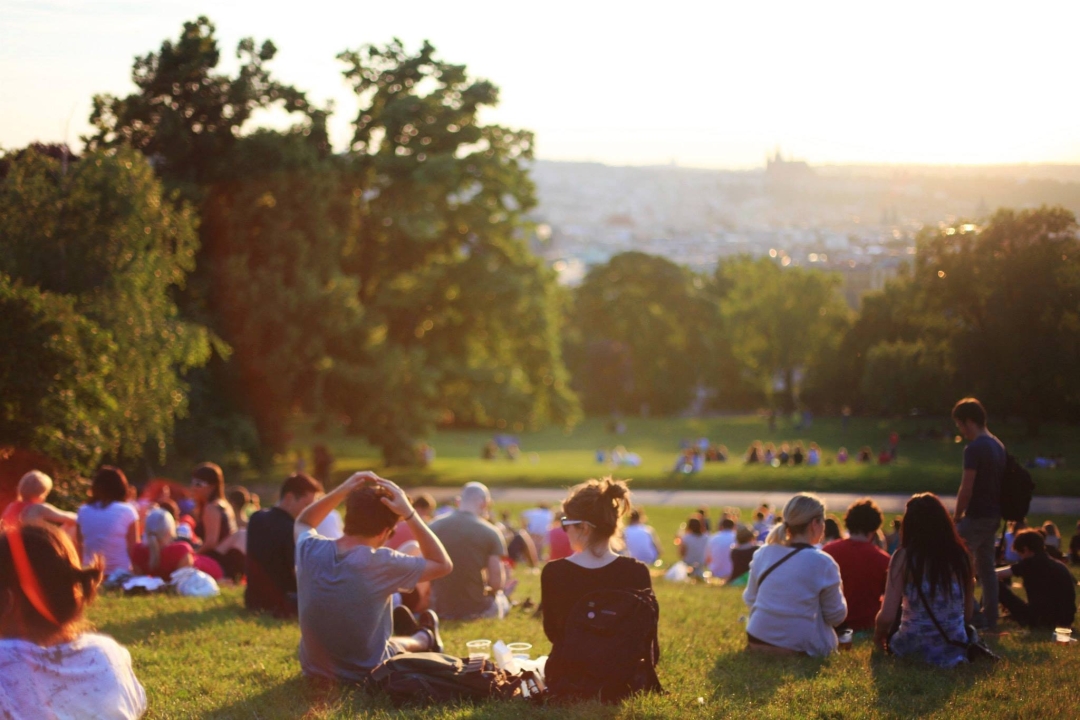 Families enjoying the park