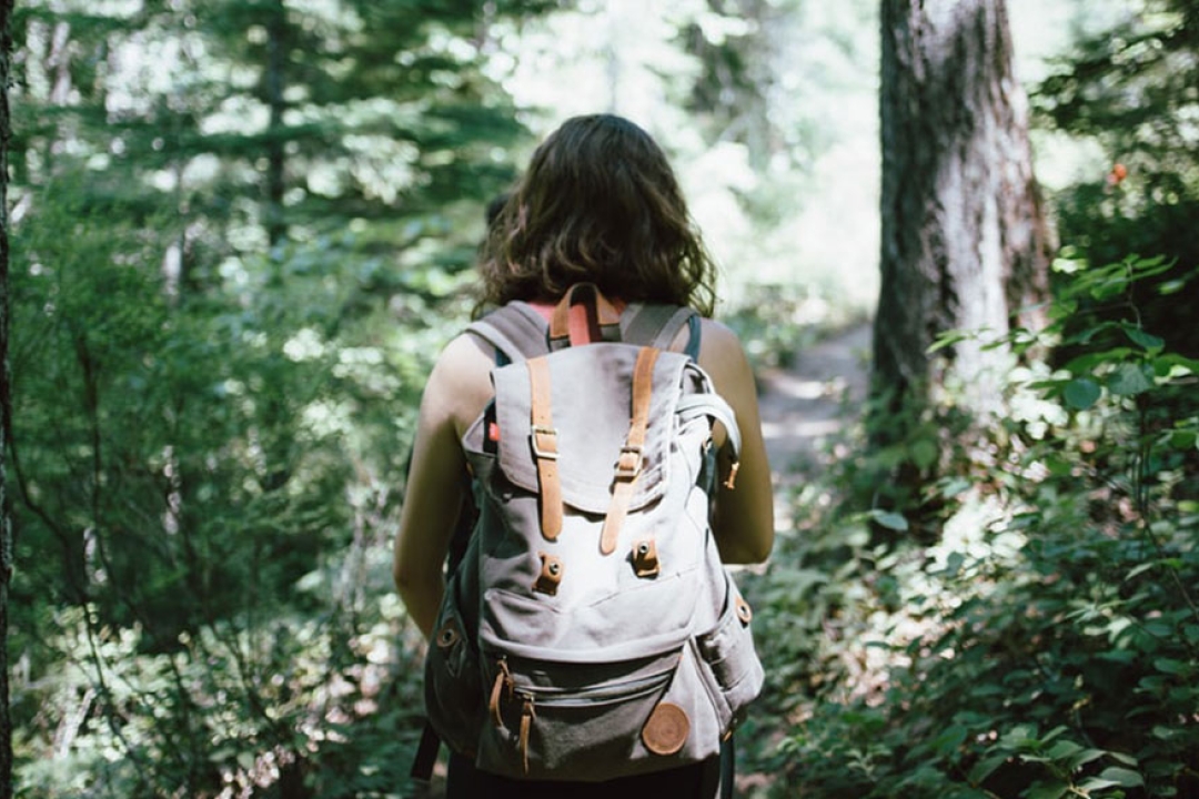 Why you should go outside