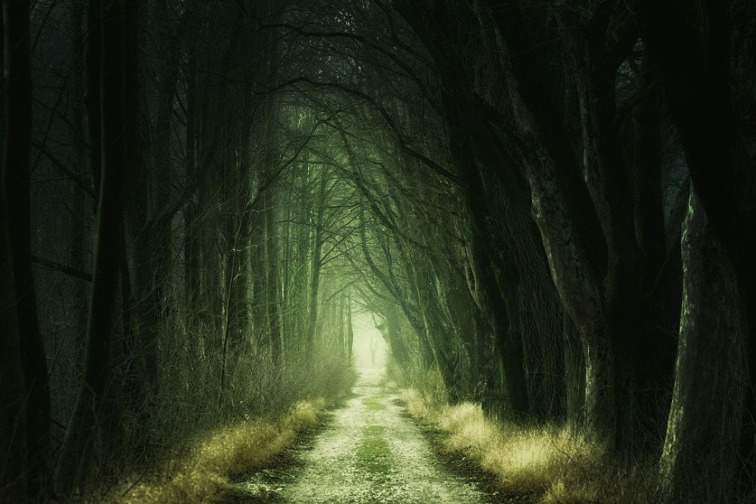 Are We Fear-Based?