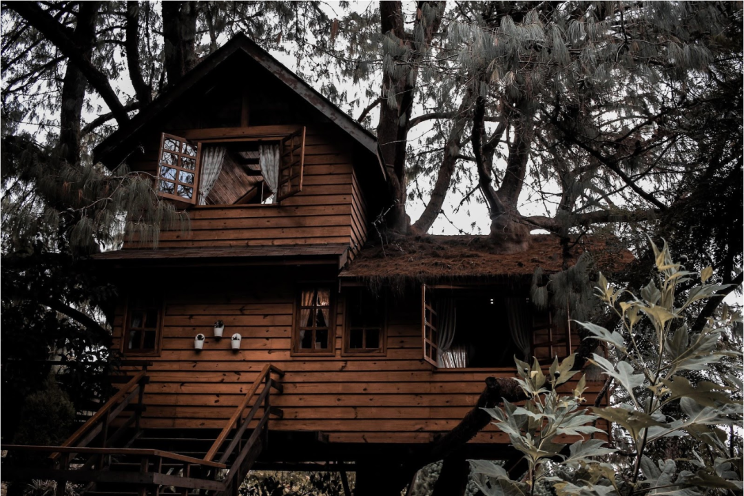 Tree House