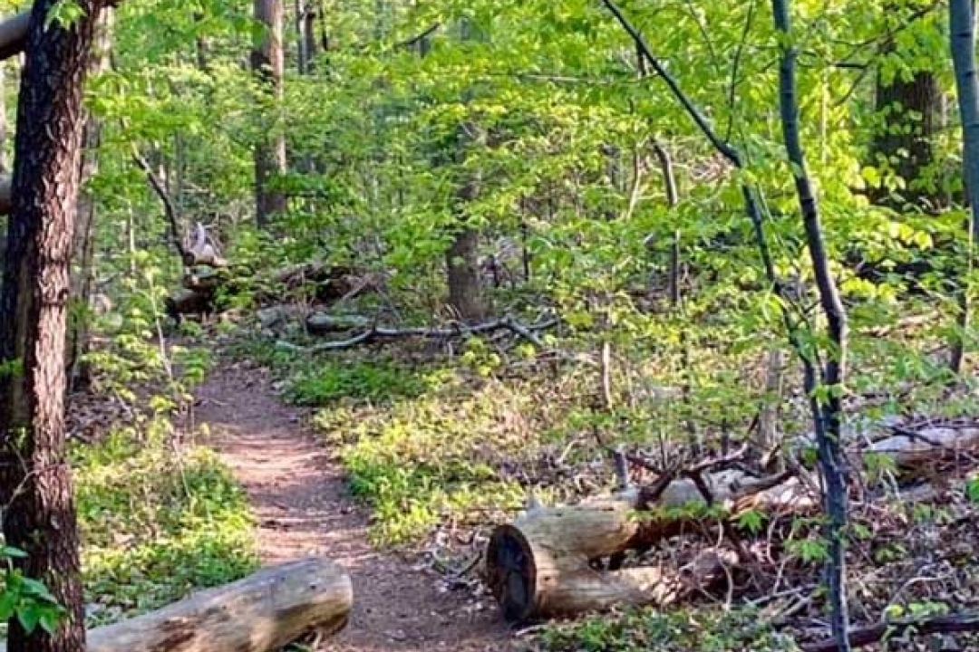 On The Trail