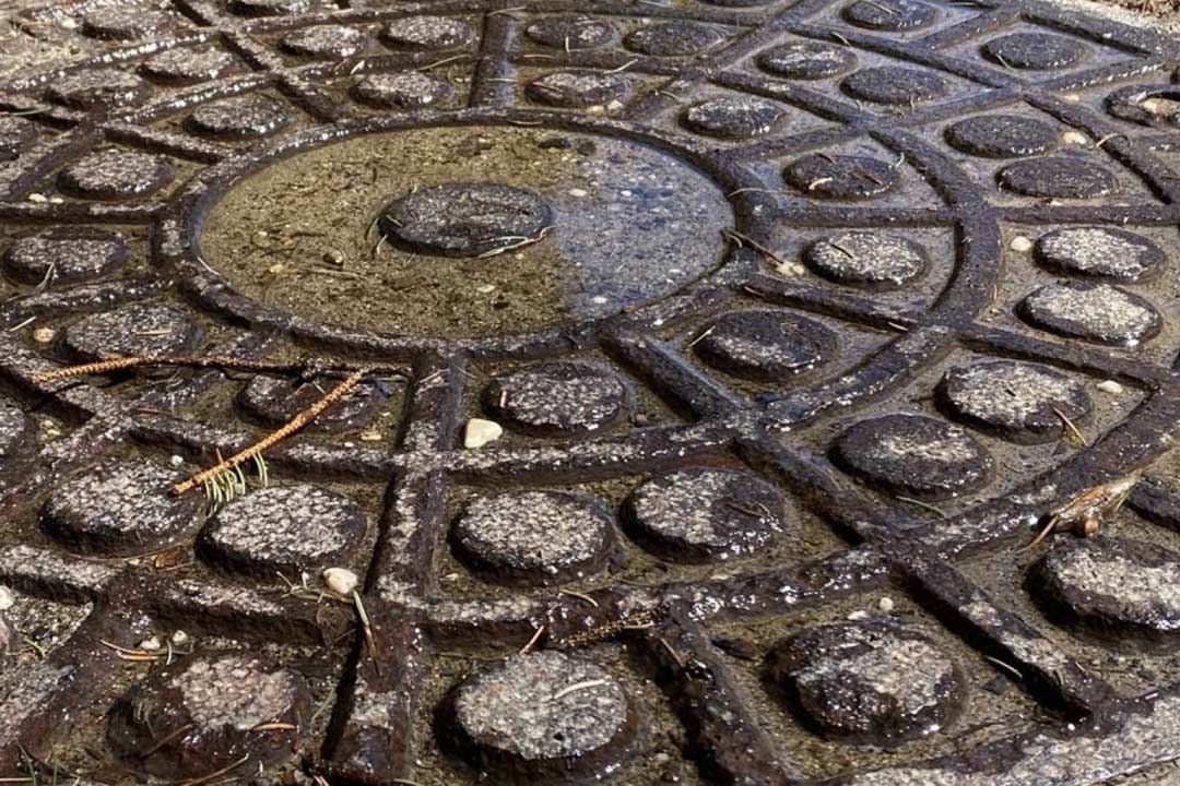 Manhole in the Park