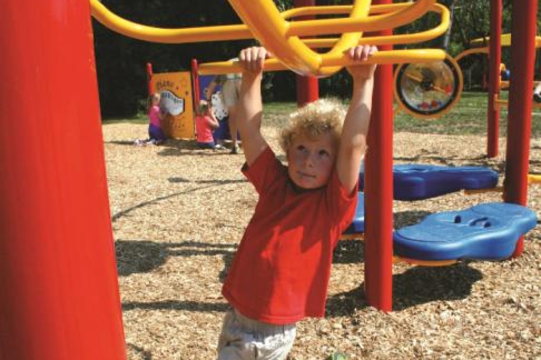 7 Elements of Play: Brachiating