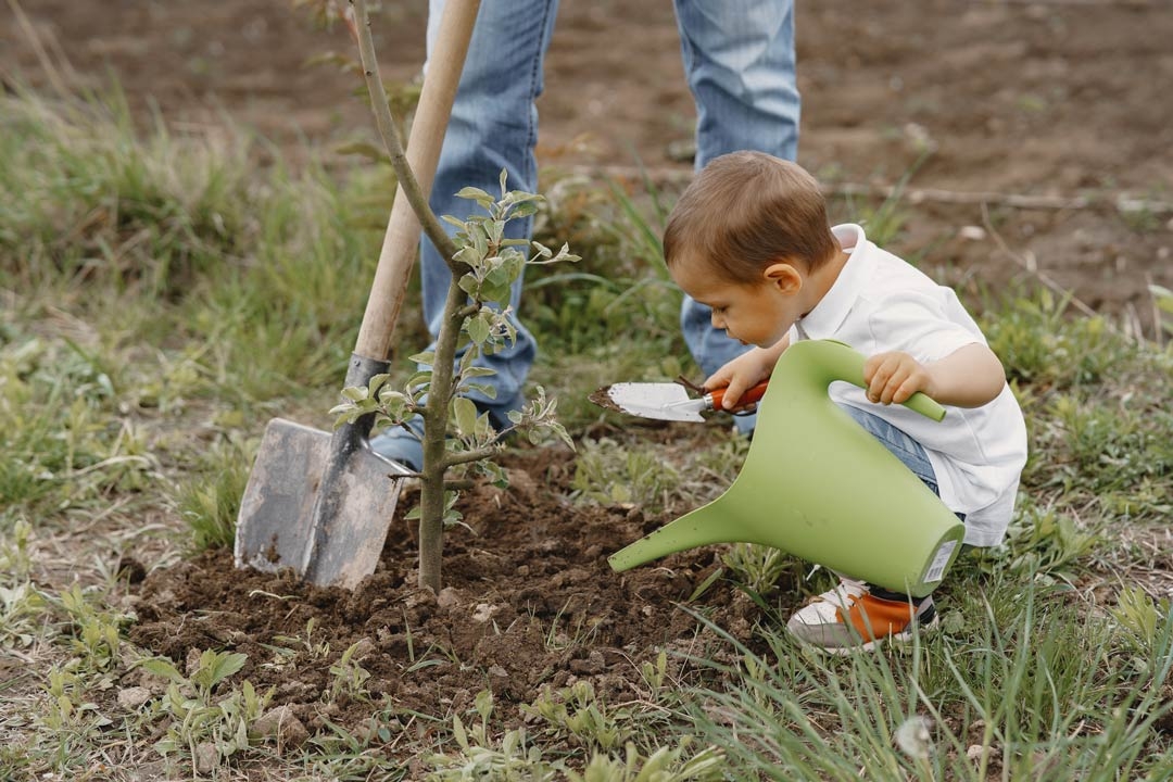 young child planting a tree