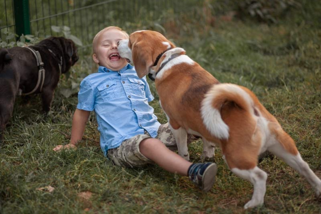 How To Protect Your Child From An Aggressive Dog At The Playground