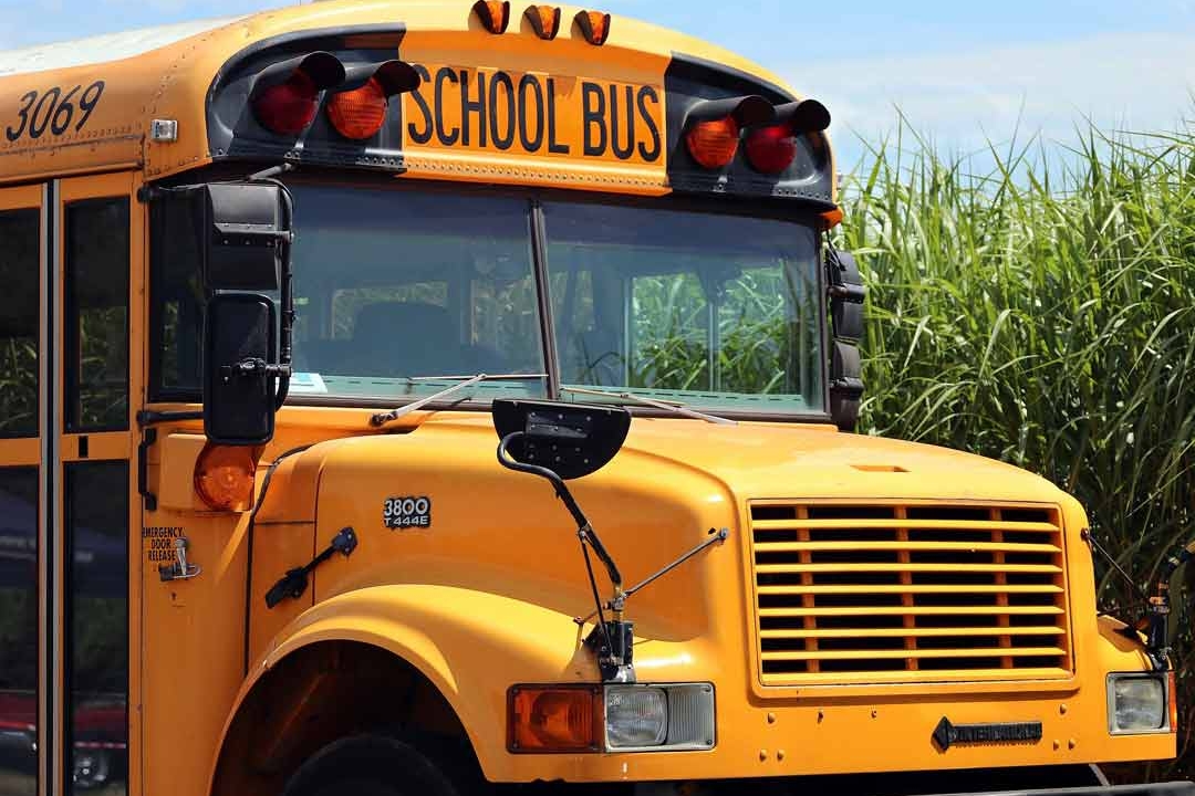 The 8 Best Cities for Student Field Trips