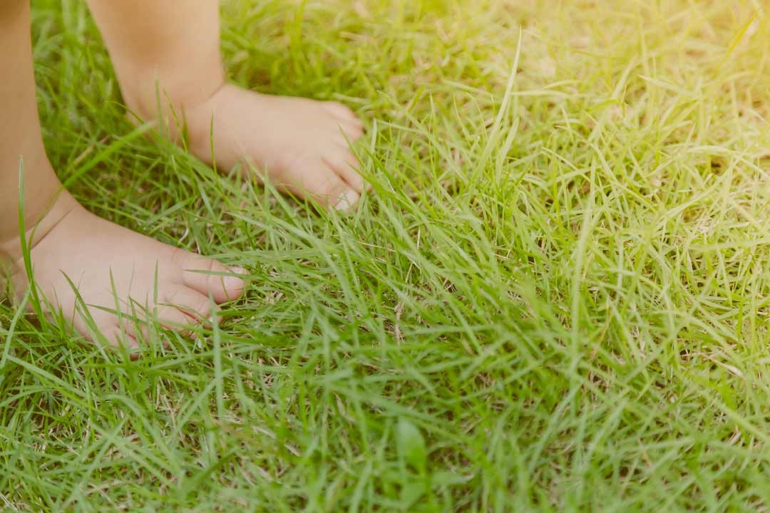 Child barefoot in grass near playground