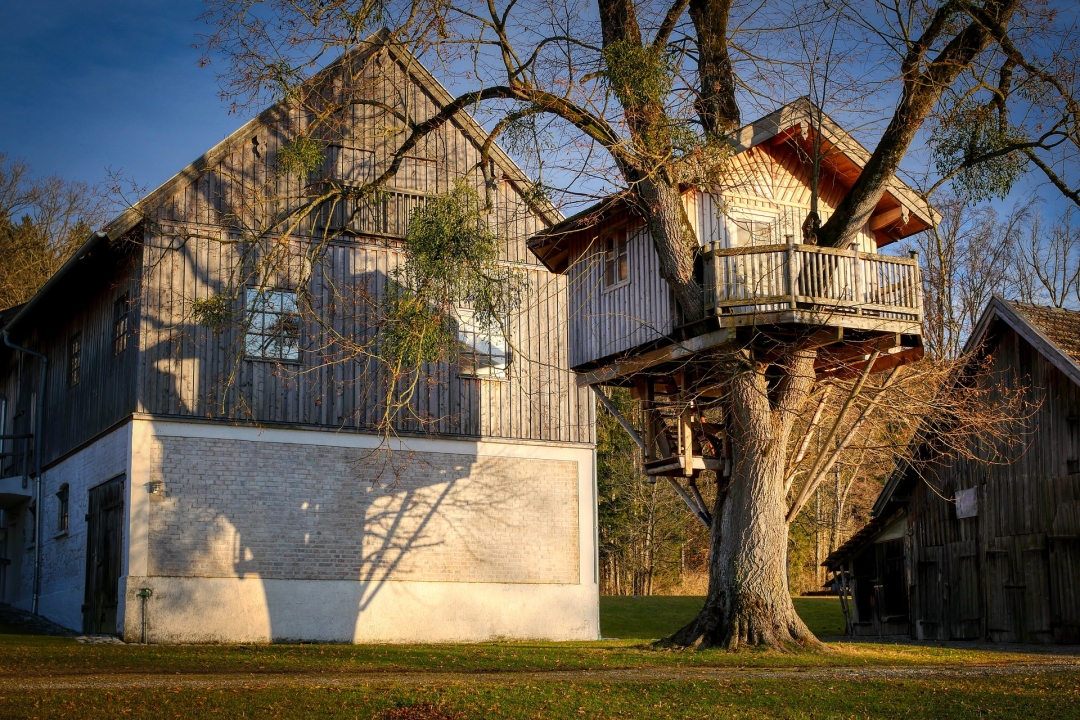 How to Build and Decorate a Treehouse