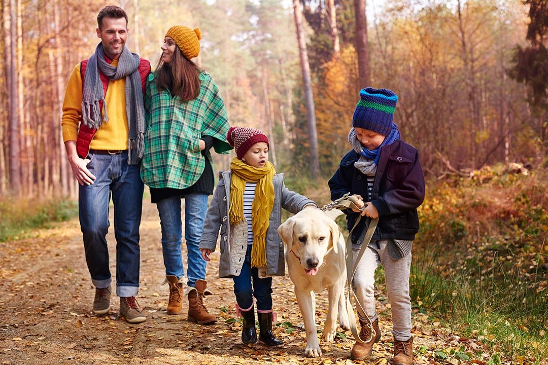 Family walking dog
