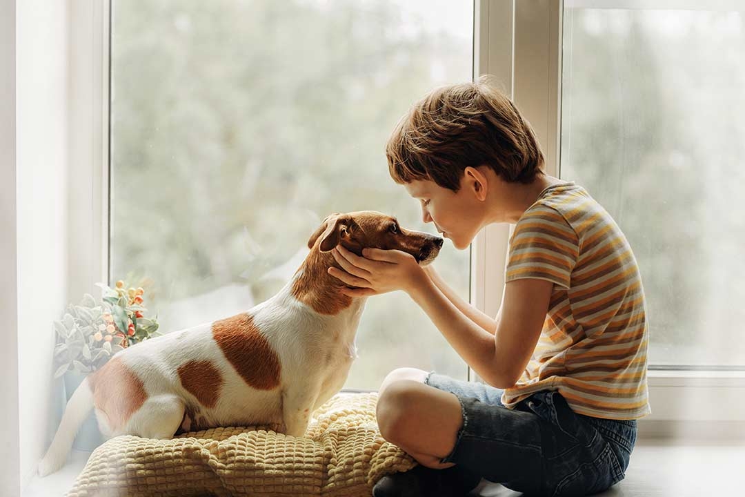 Teaching Young Children to Respect Dogs