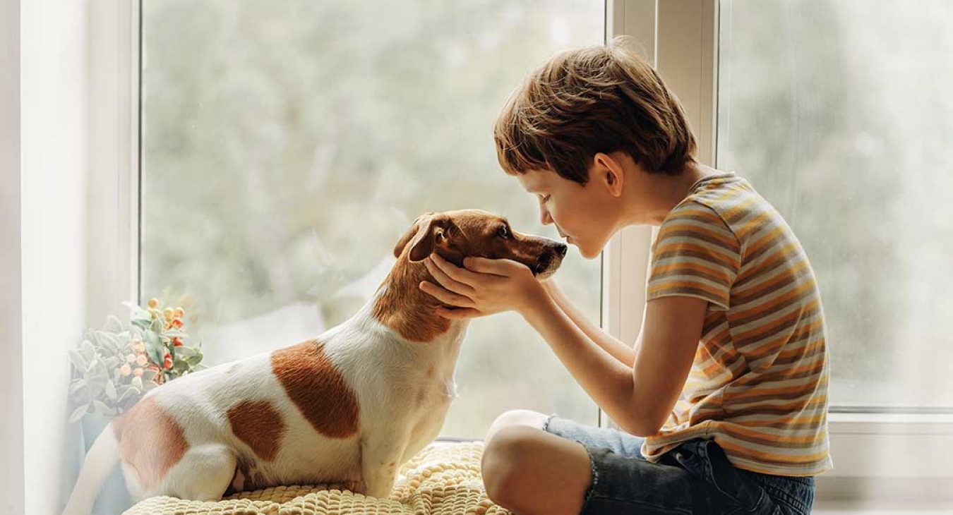 Teaching Young Children to Respect Dogs