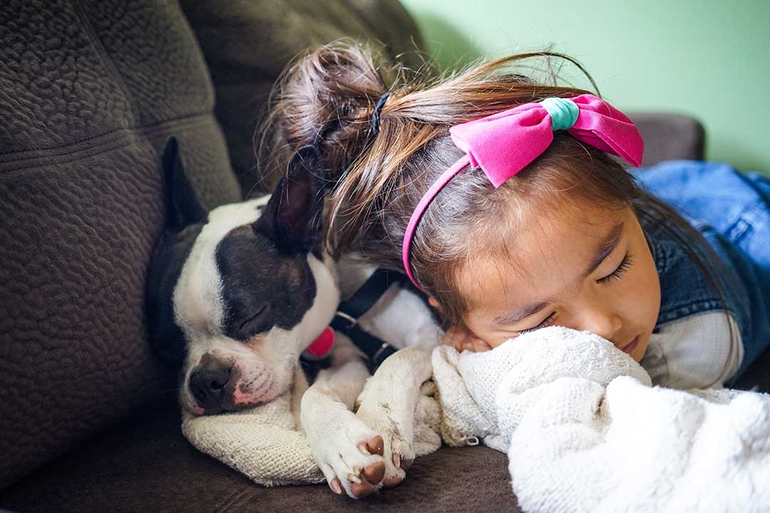 Why Dogs Can Change Children's Lives