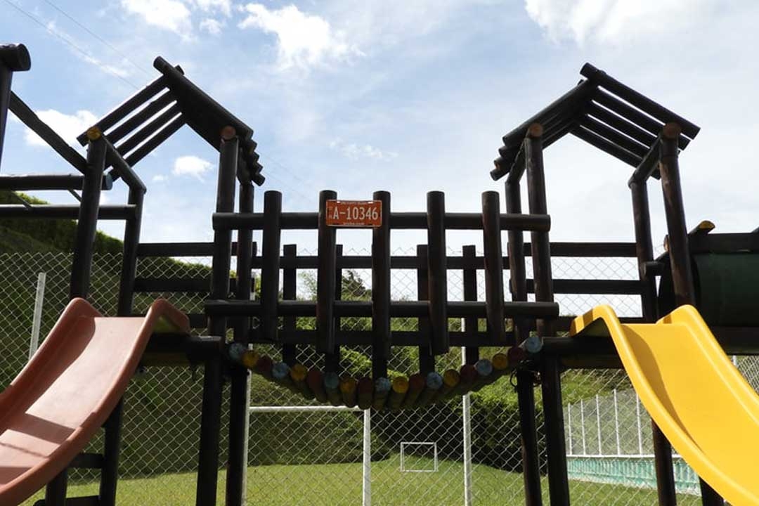 6 Tips To Turn Your Lawn Into A Playground Without Damage