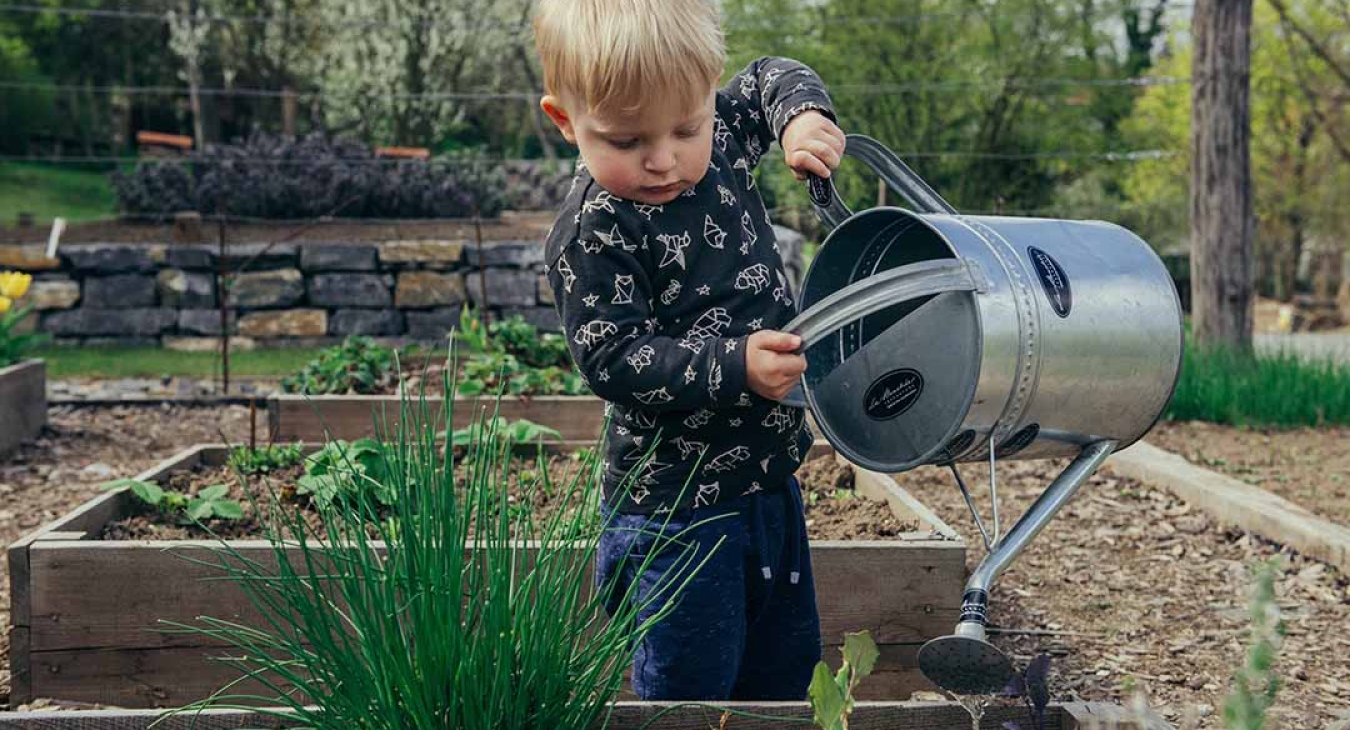3 Interesting Benefits of Gardening With Your Children