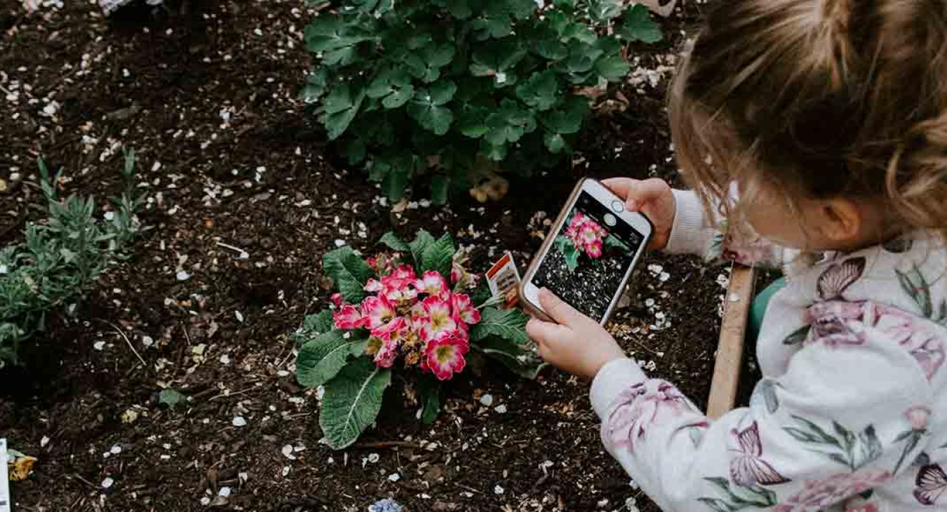 3 Interesting Benefits of Gardening With Your Children