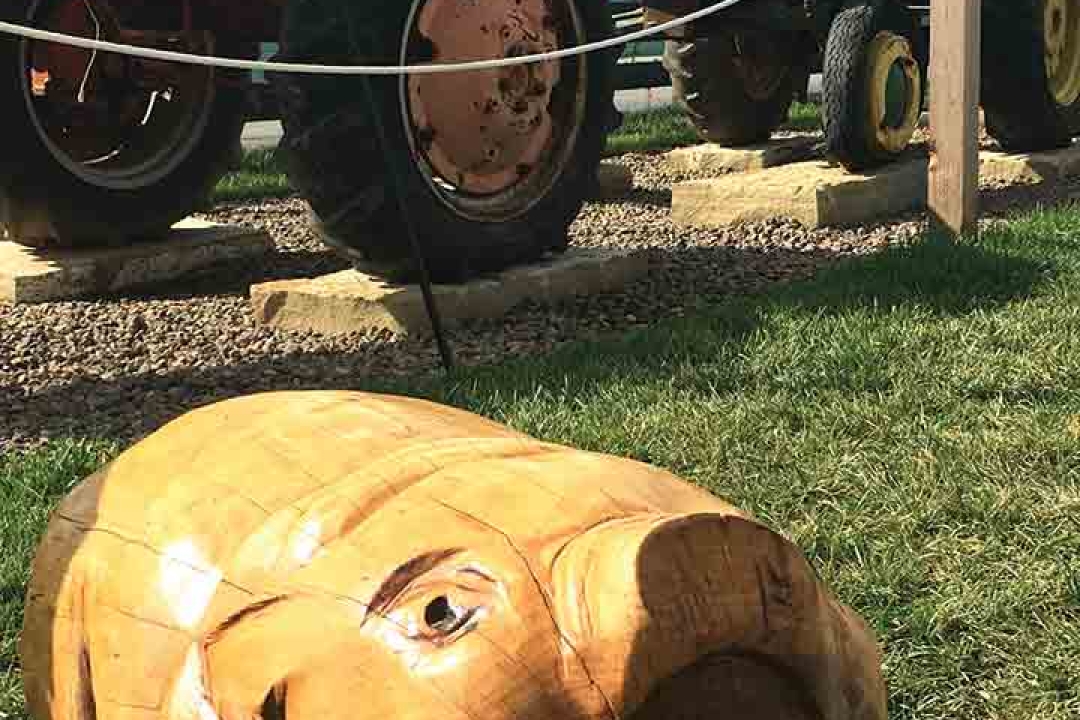 Unique Farm Themed Playground Equipment