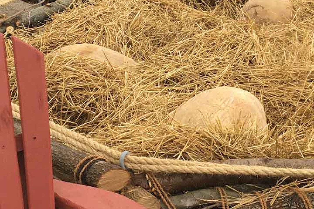 Unique Farm Themed Playground Equipment