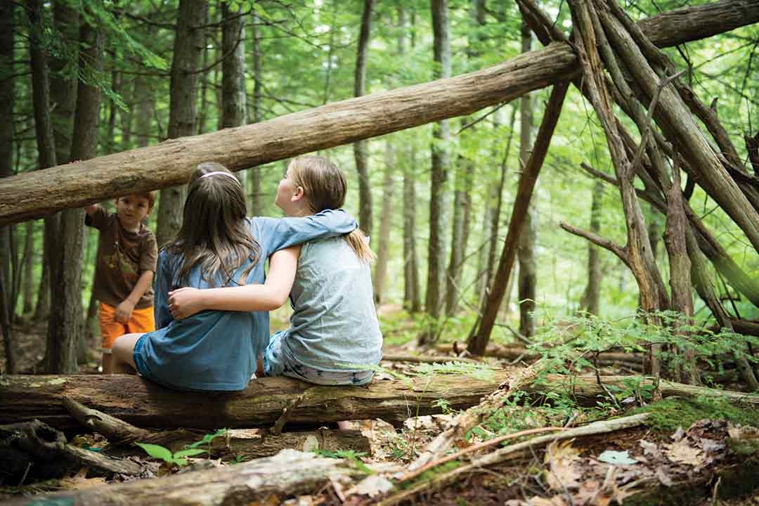 The Therapeutic Benefits of Free Play Outdoors 