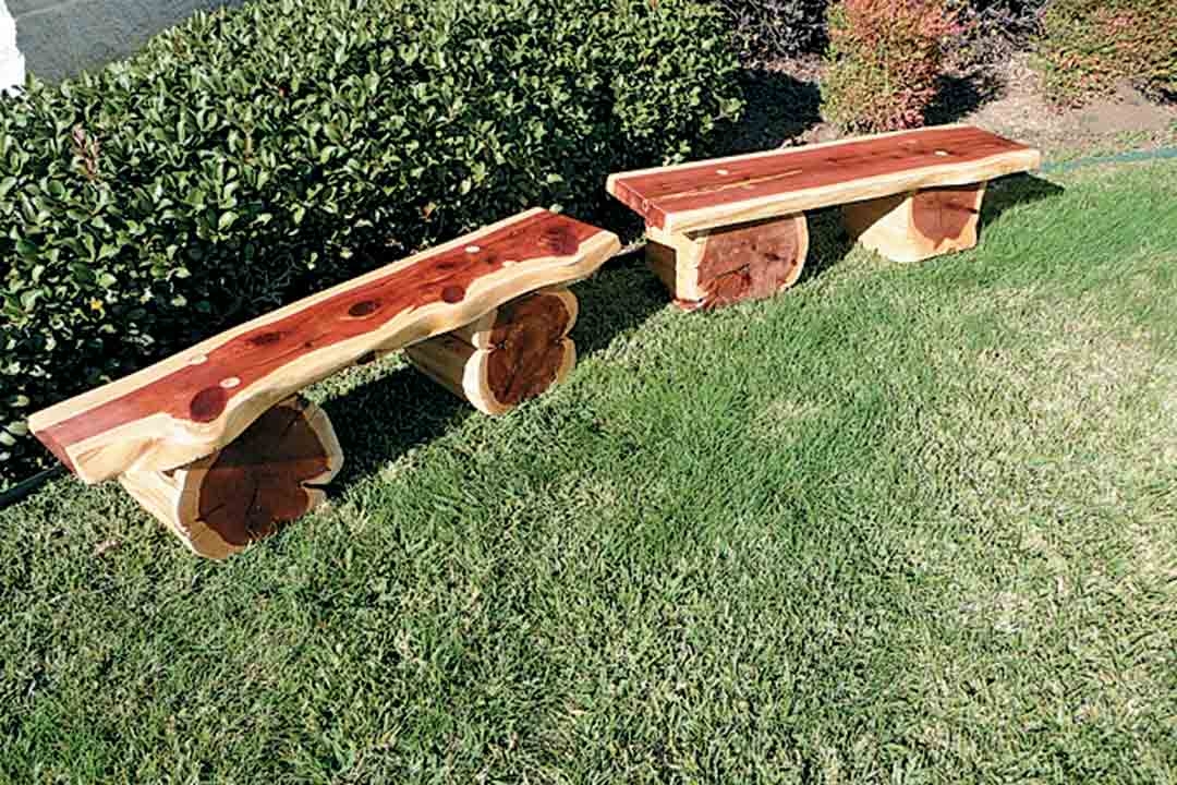 Trends in Playground Design and Amenities