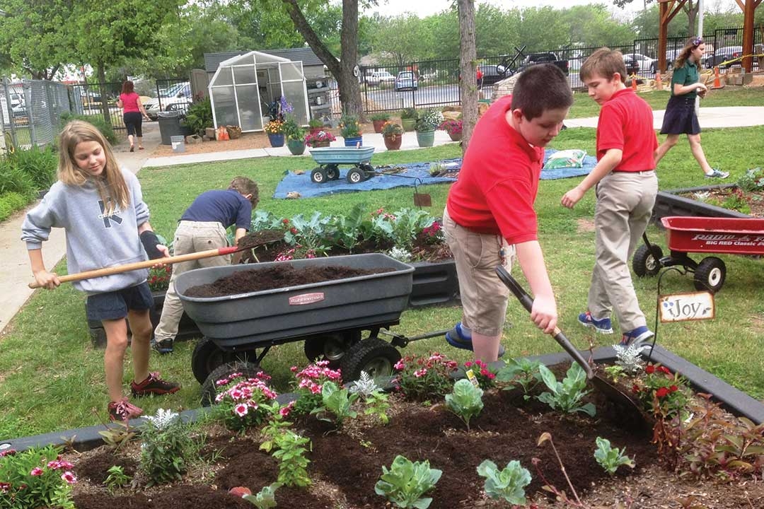 Gardening at School