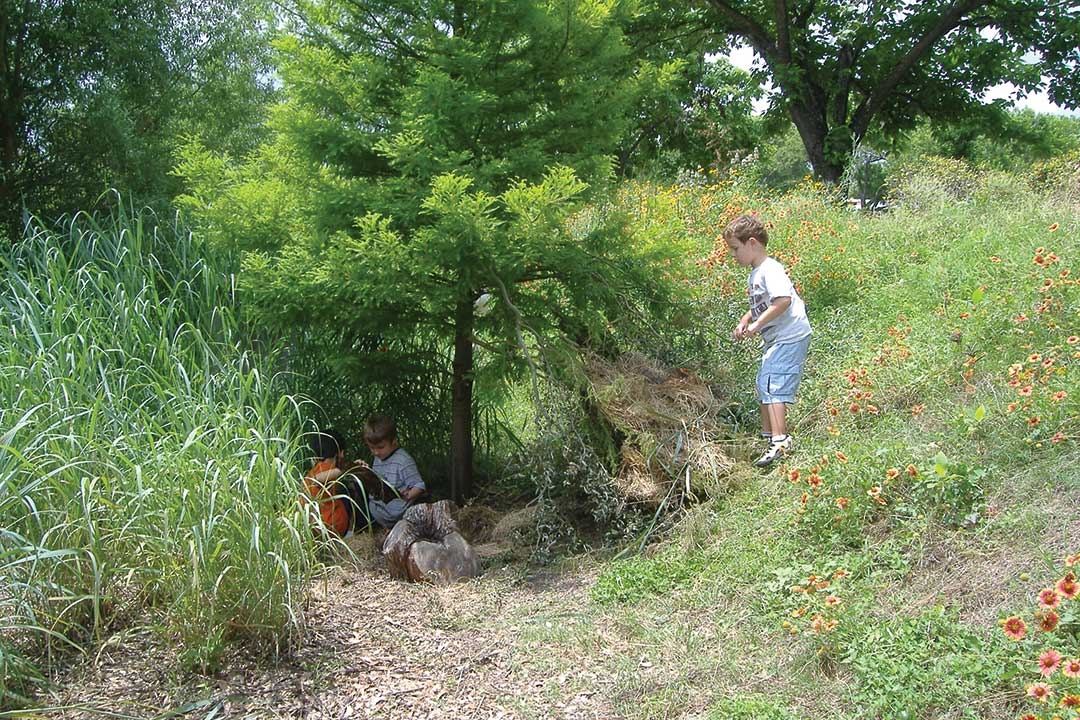 Rediscovering Nature
