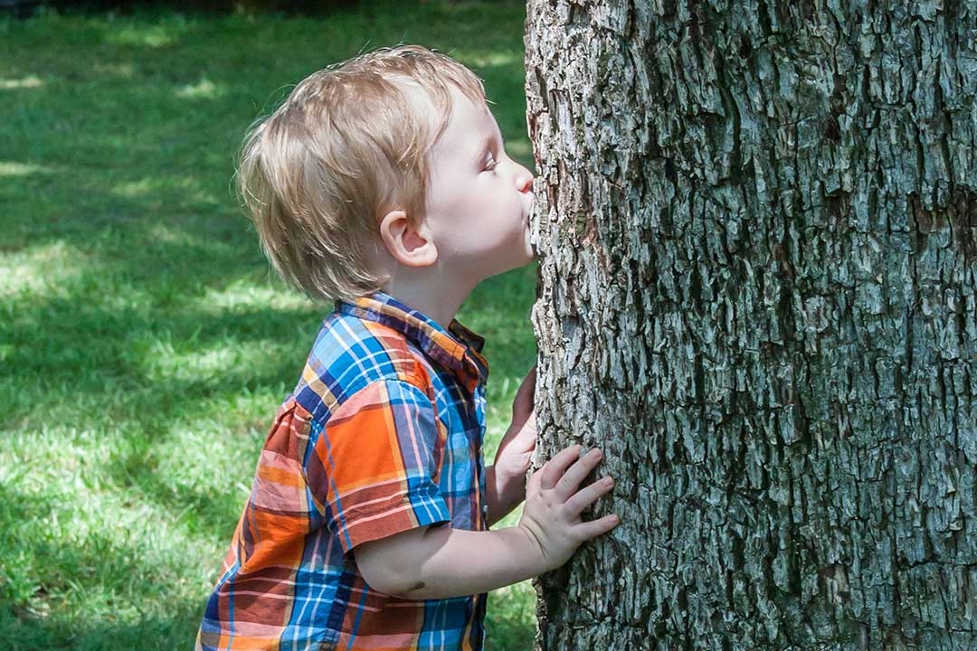 Rediscovering Nature