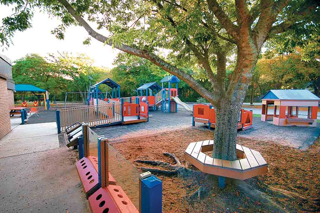 Trends in Playground Design and Amenities