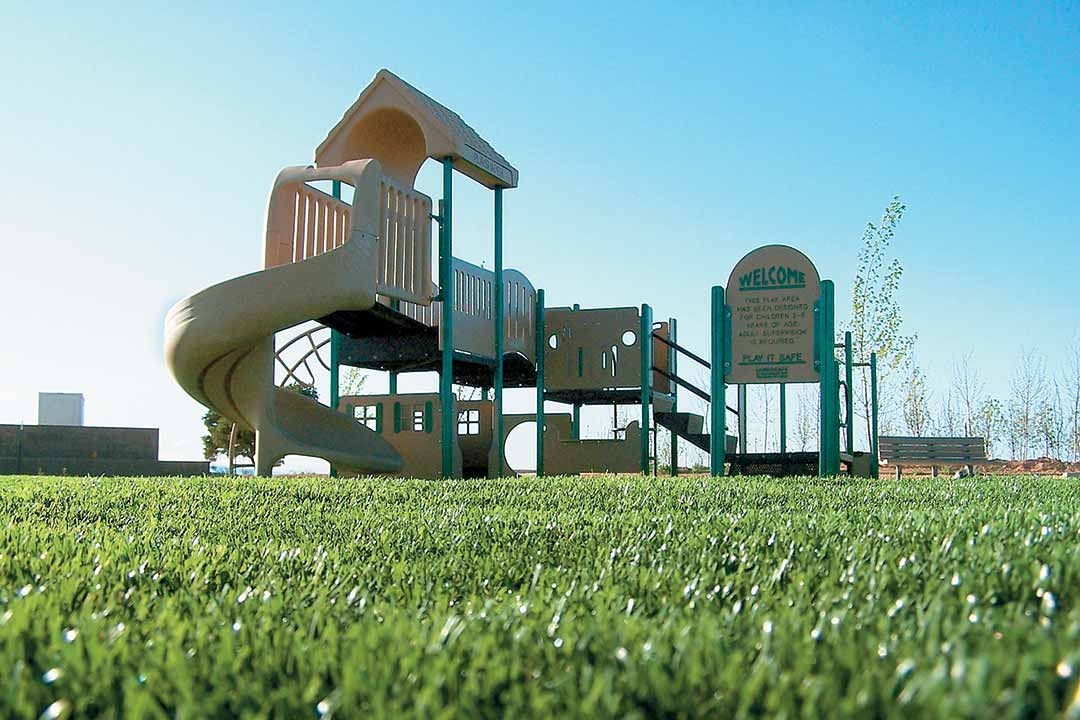 Playground Turf