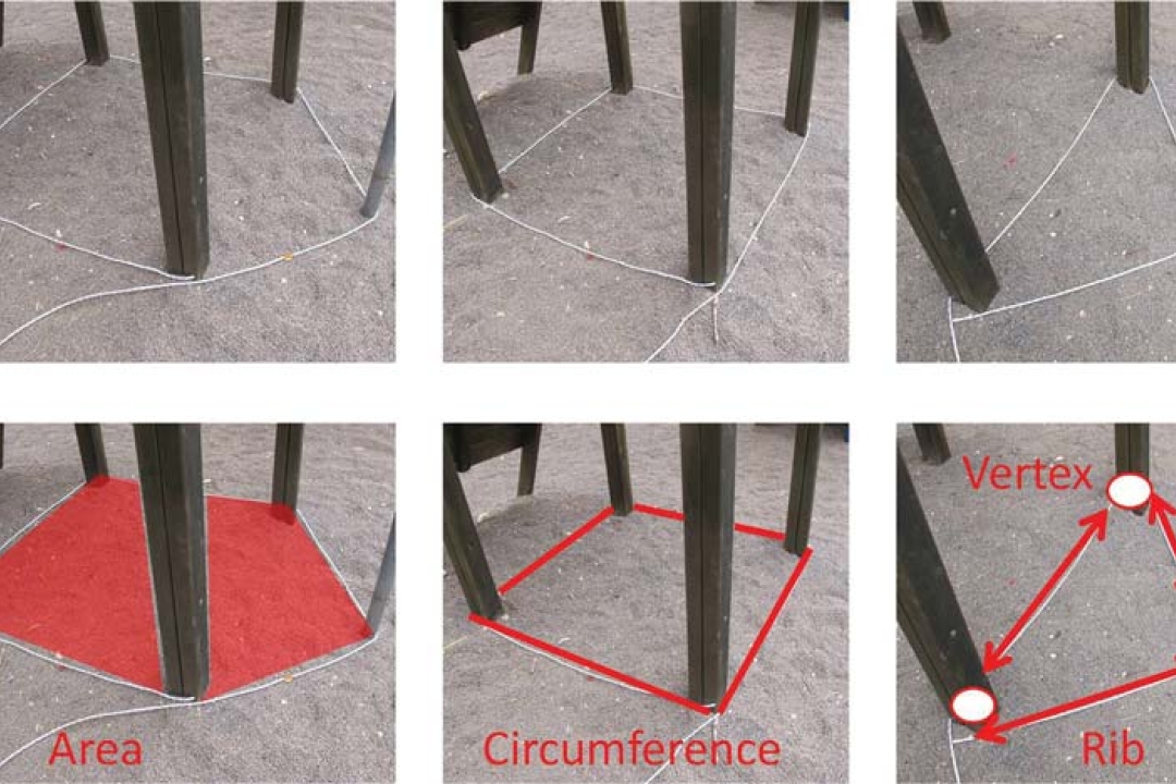Arithmetic and Geometry in the Playground