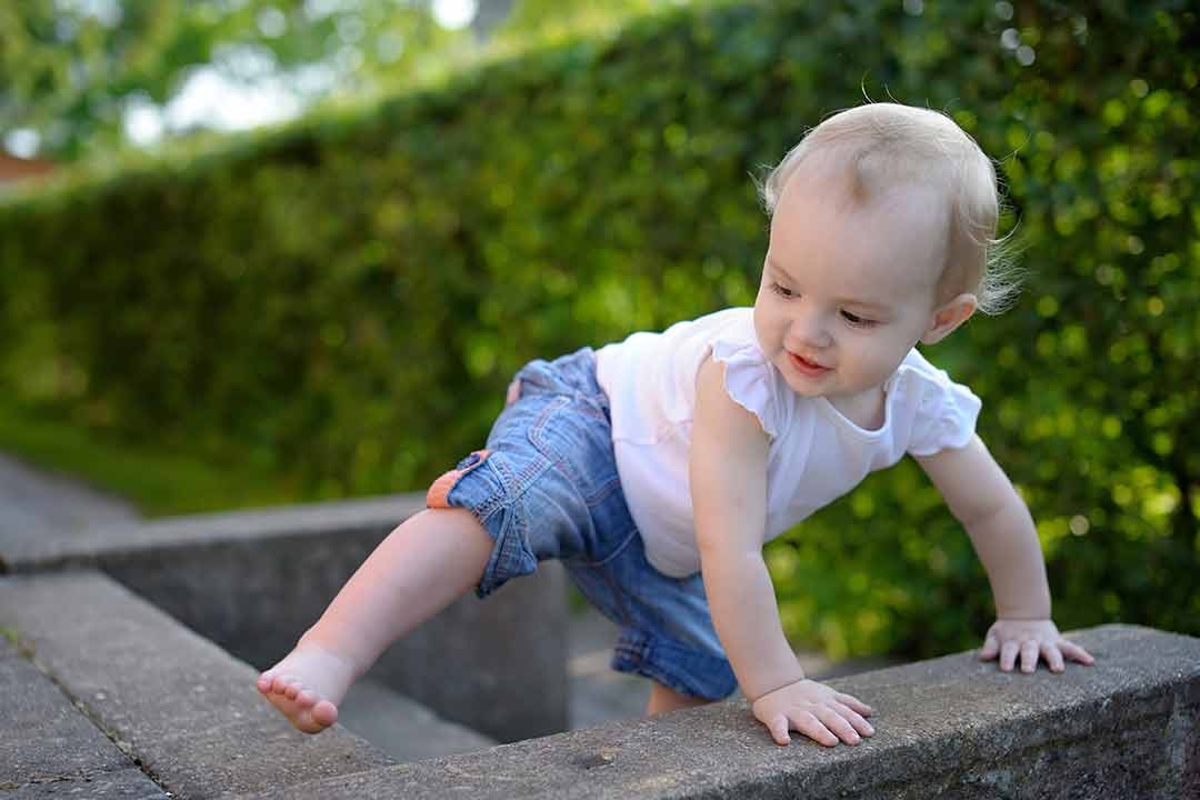Why Children Climb
