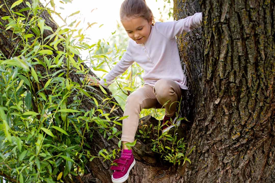 The Benefits of Risky Play