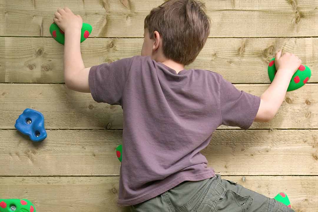 Why Children Climb