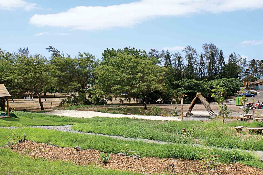 Natural Playgrounds