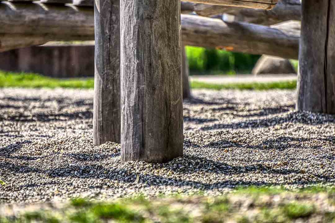 Rotten Wood Playground