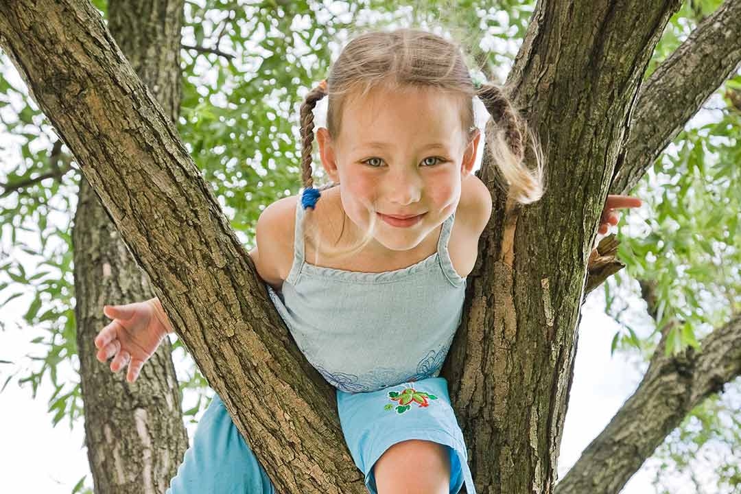 Why Children Climb
