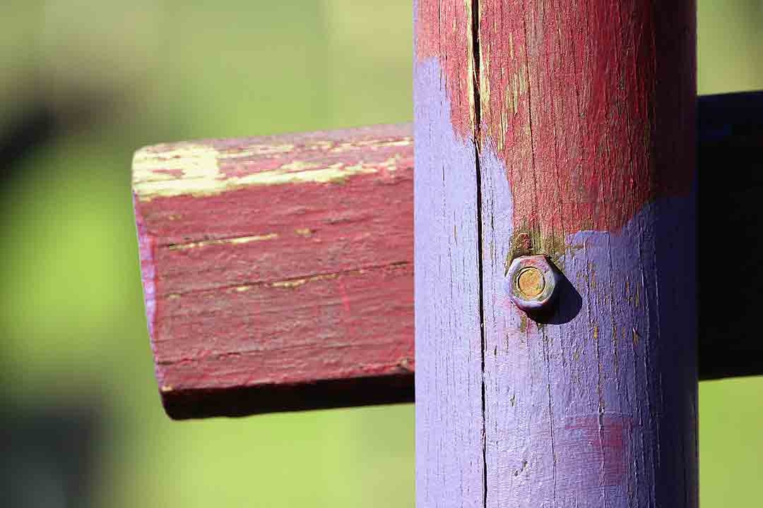 Rotten Wood Playground