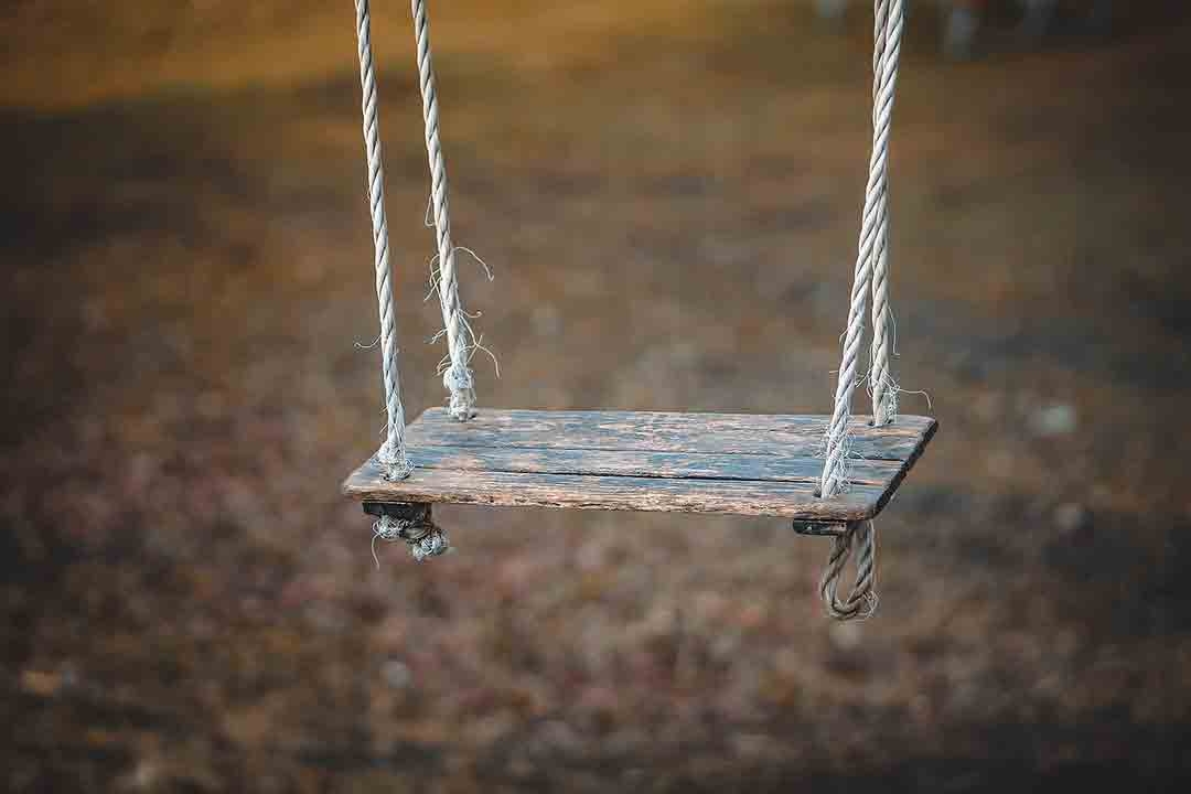 Rotten Wood Playground
