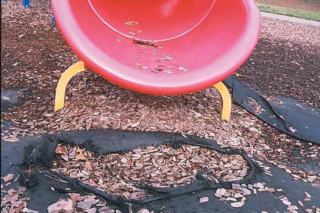 Playground Safety Rules