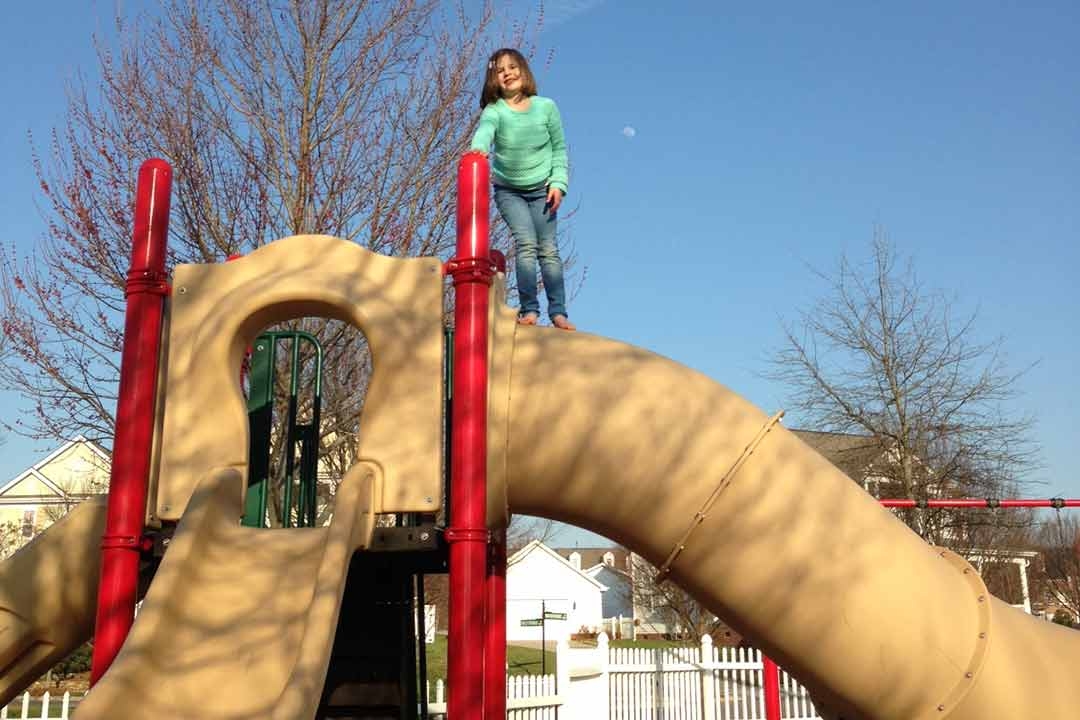 Climbing Safety Review