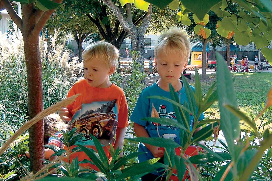 What Are Playgrounds?