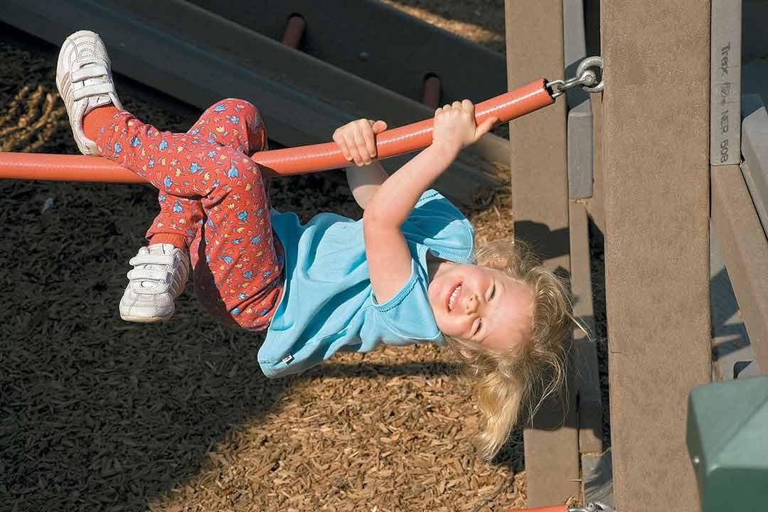 Rebuilding Wildcat Park 