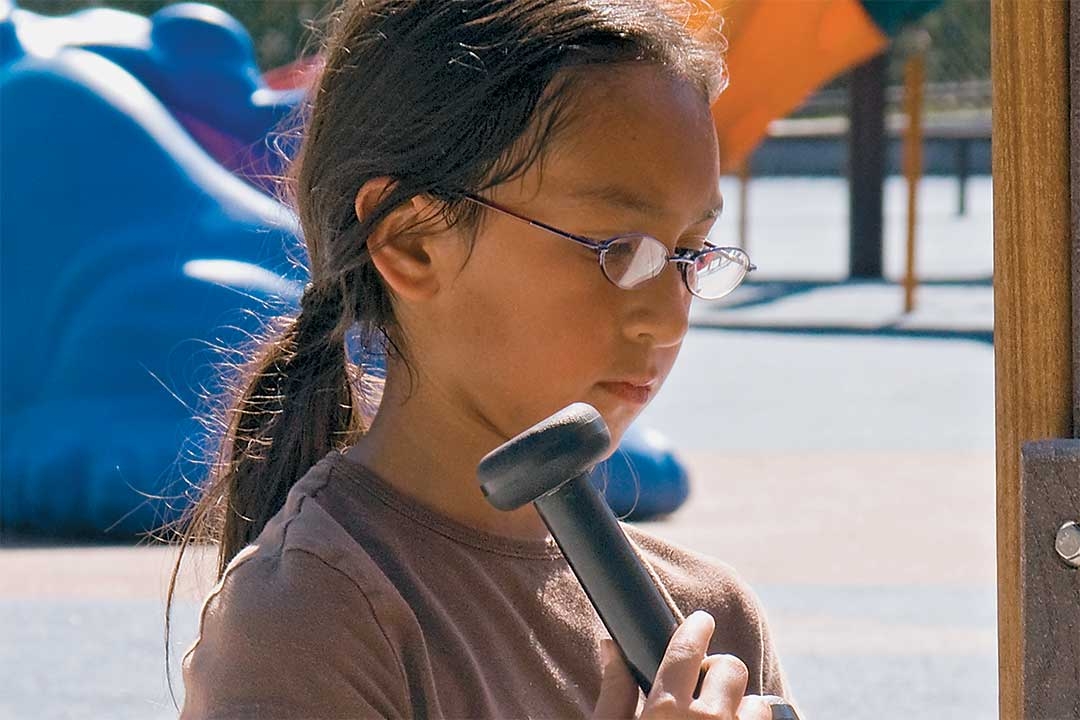 Fundraising for the Playground at Tautphaus Park
